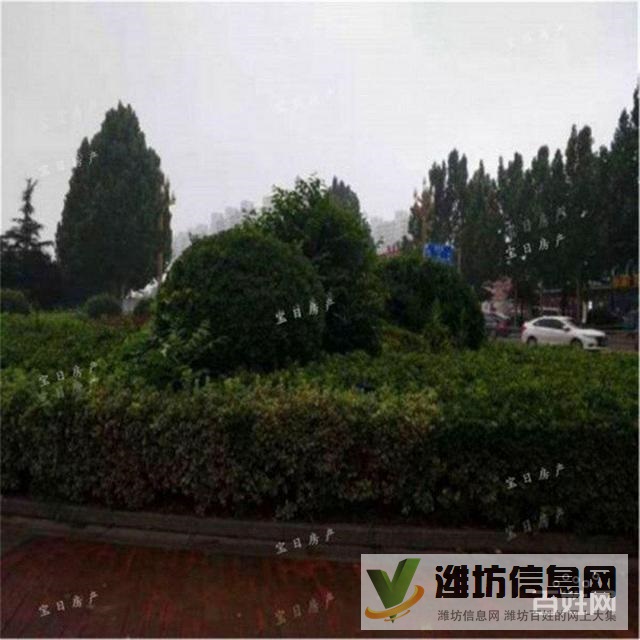 万达附近中南世纪城精装一楼带负一,采光好,仅79万