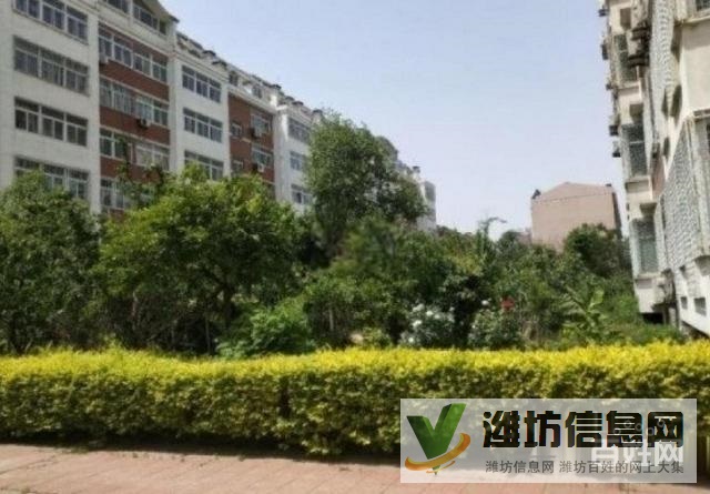 八九军院东邻机关单位房!清平花园多层三楼 四室客厅