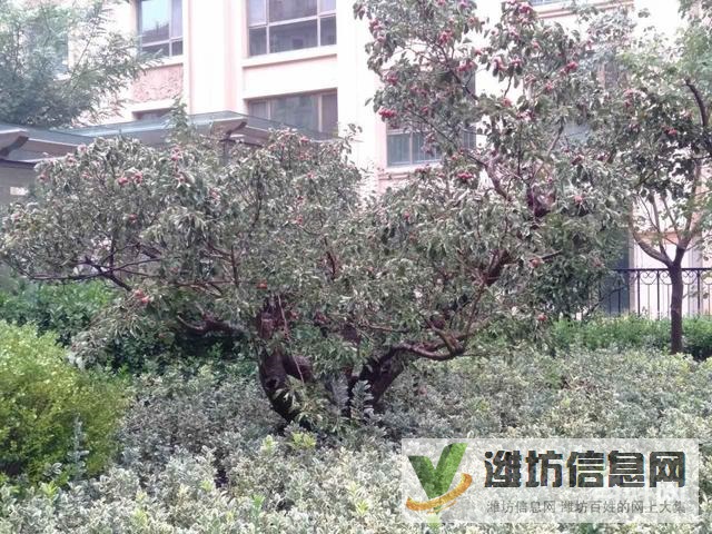 青云国际城,多层,毛坯三室,带仓库!!