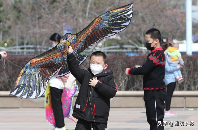 忙趁东风放纸鸢！潍坊市民走到户外，沐浴春光