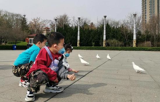 潍坊：春游盛宴 潍城做出这些“特色菜”