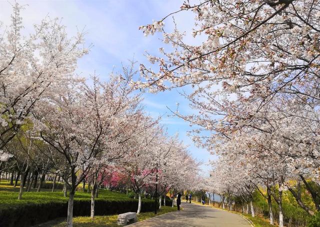 最新：潍坊32家恢复开放景区名单公布 清明踏春看这里附优惠政策