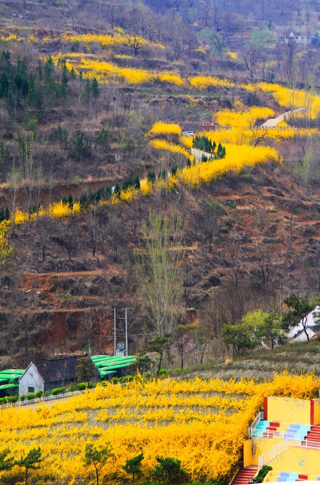 最新：潍坊32家恢复开放景区名单公布 清明踏春看这里附优惠政策