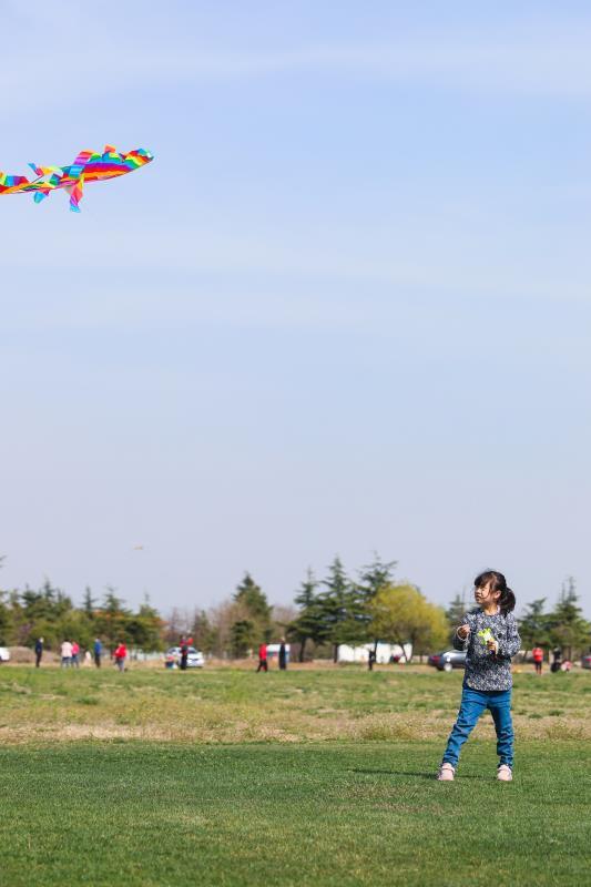 潍坊举行“放飞风筝寄思念”活动