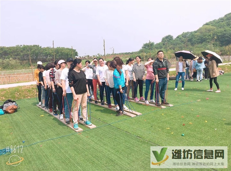 在武汉公司团建拓展这方面听我的你是没有错的