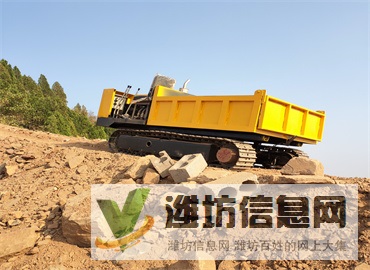 10吨农用履带运输车 水陆两用运输车 小型橡胶履带底盘