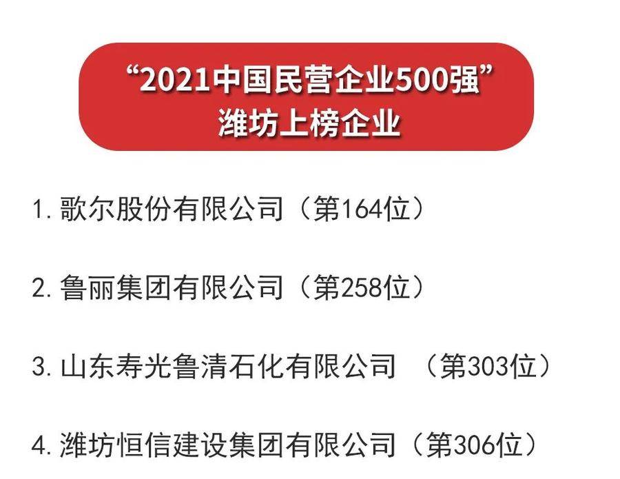 潍坊4家企业入围2021中国民营企业500强
